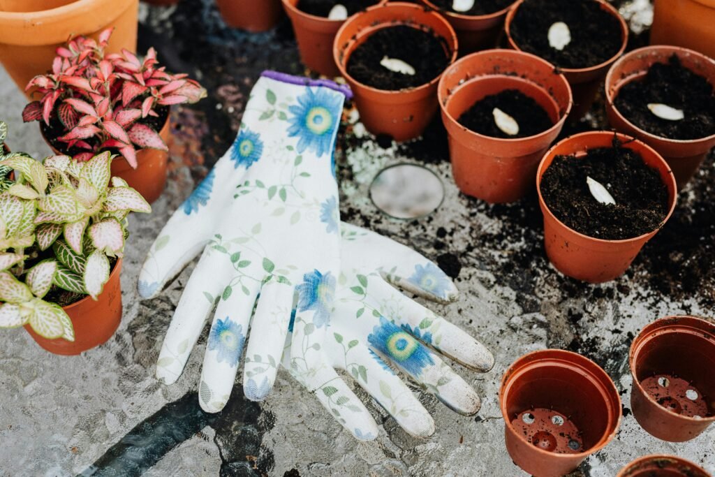 Jardinagem: um toque de criatividade para sua vida.